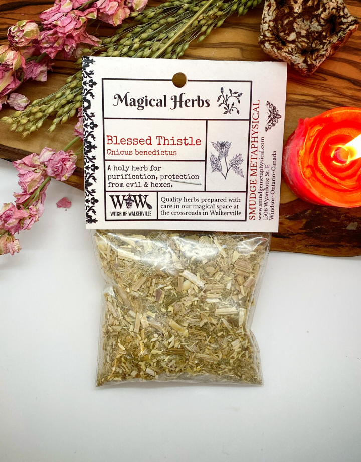 Blessed Thistle