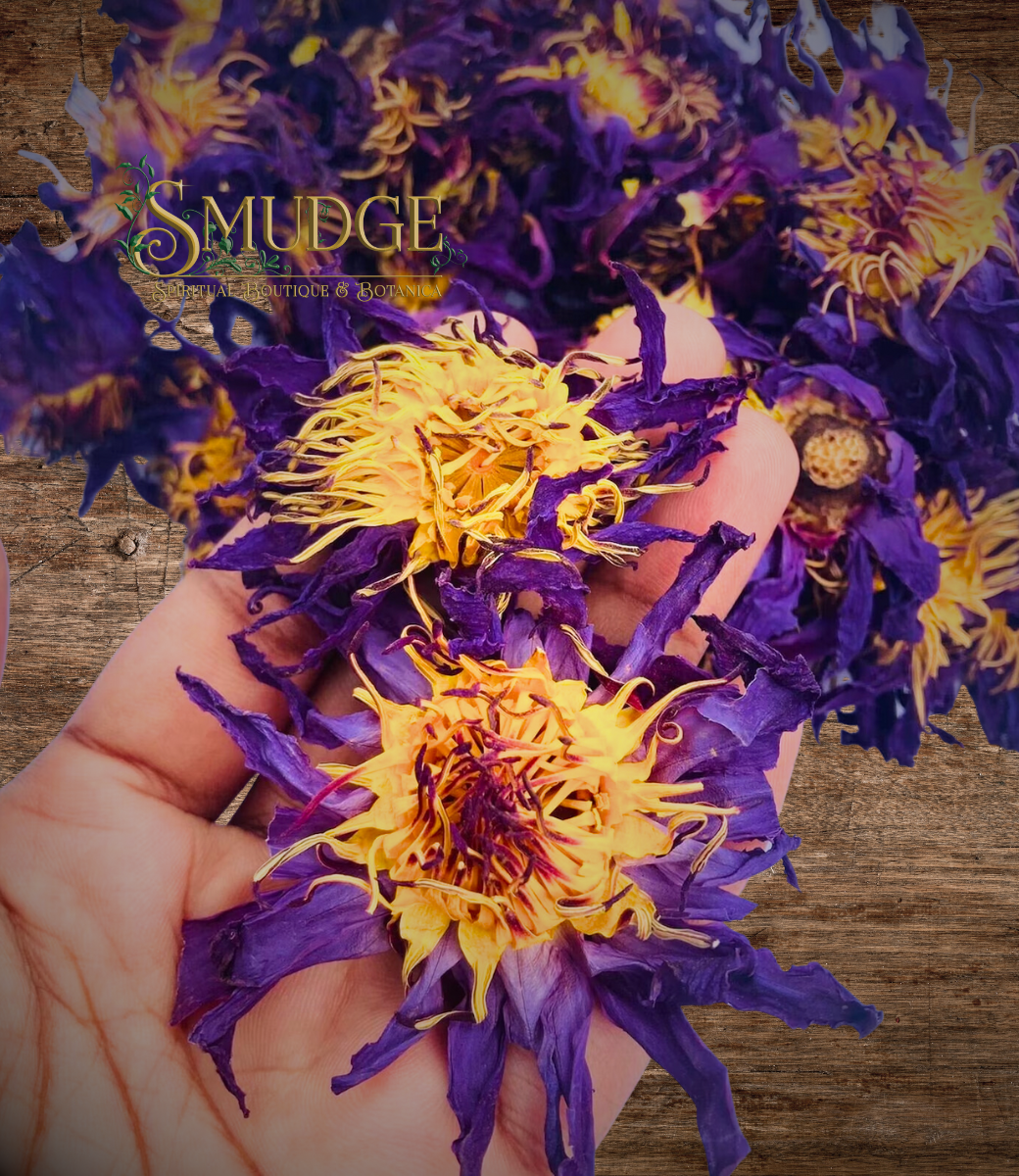 Blue Lotus Flower tea