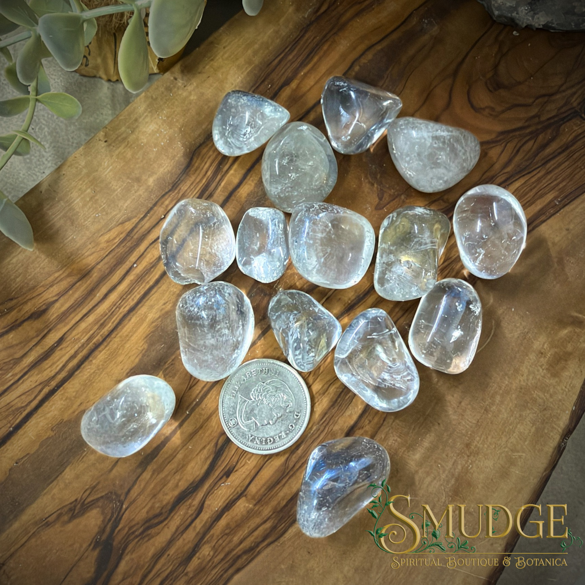 A group of clear, polished tumbled stones arranged on a wooden surface, with a coin and a plant leaf used for scale and decor. The brand name 'SMUDGE' is visible in the bottom right corner.