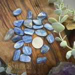 Blue tumbled kyanite stones n a wooden background with a Canadian quarter in the middle.