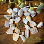 A group of polished blue lace agate tumbled stones in soft white, cream, gray, and pale blue tones with some natural orange and gold inclusions, arranged on a wooden surface with a coin and green leaves for scale and styling. The brand name 'SMUDGE' is visible as a watermark/logo in the lower right corner.