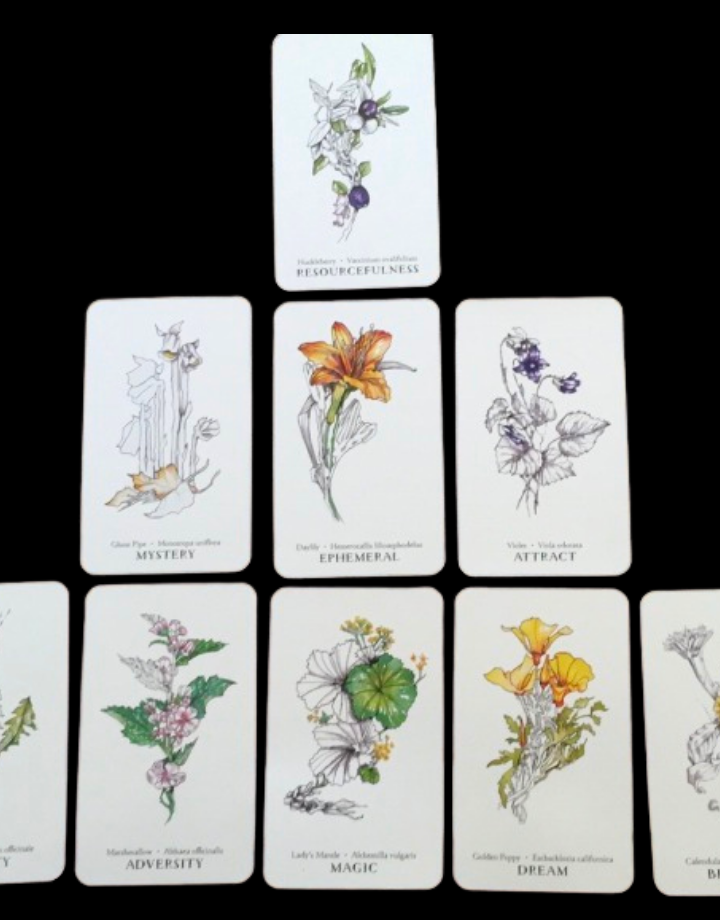 Hedgewitch Botanical Oracle