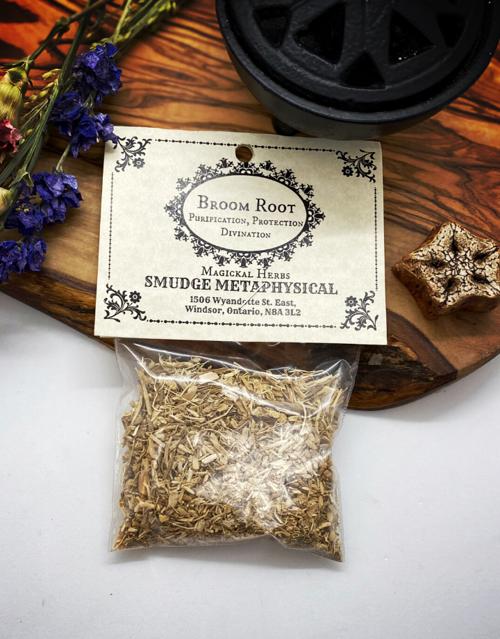 Broom (Butcher's) Root