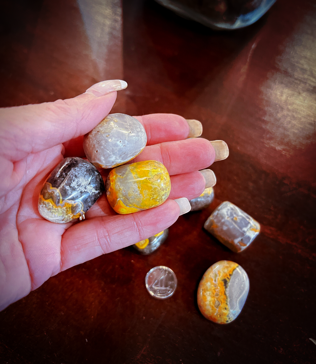 Bumblebee Jasper - X-large