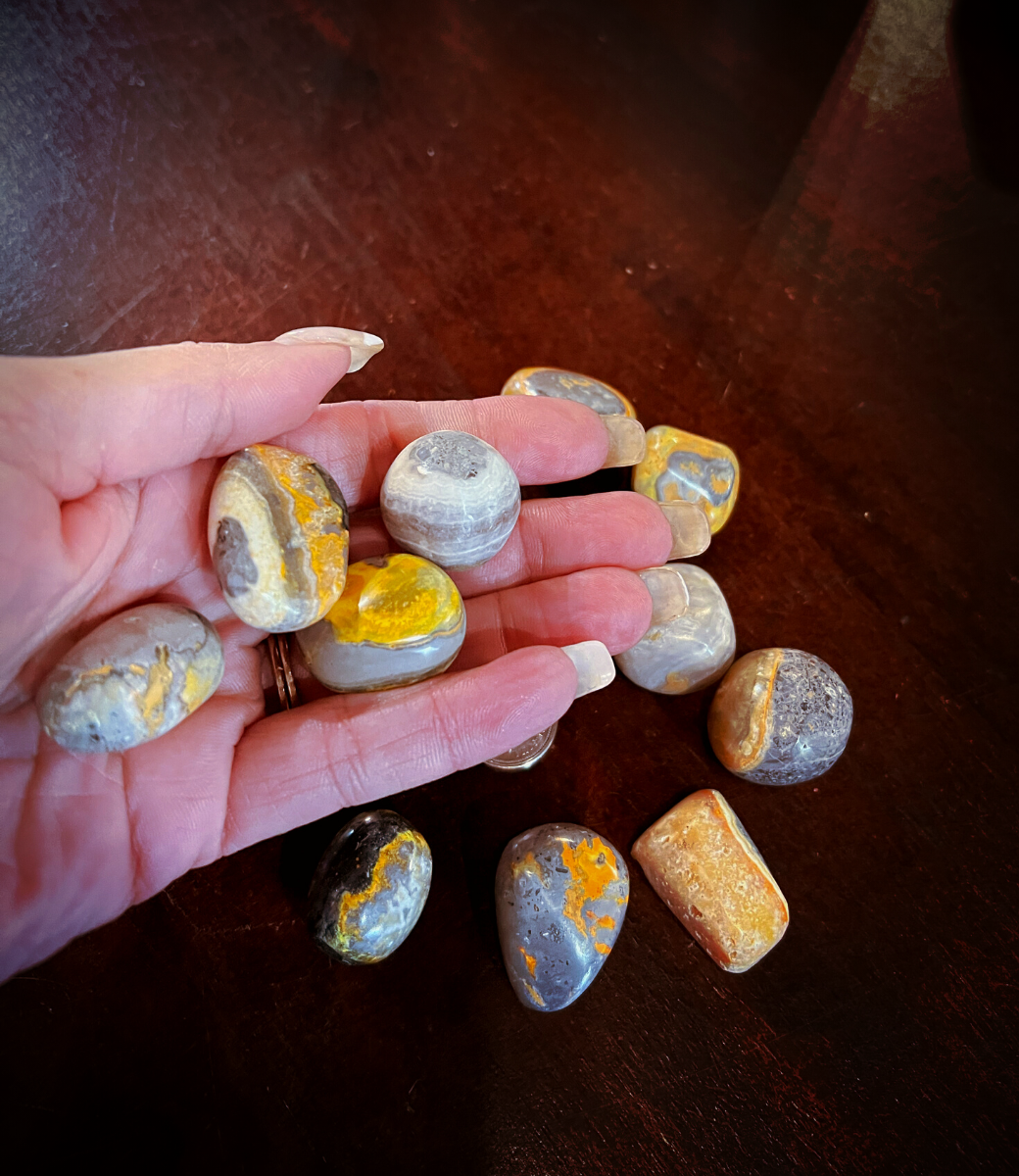 Bumblebee Jasper - medium