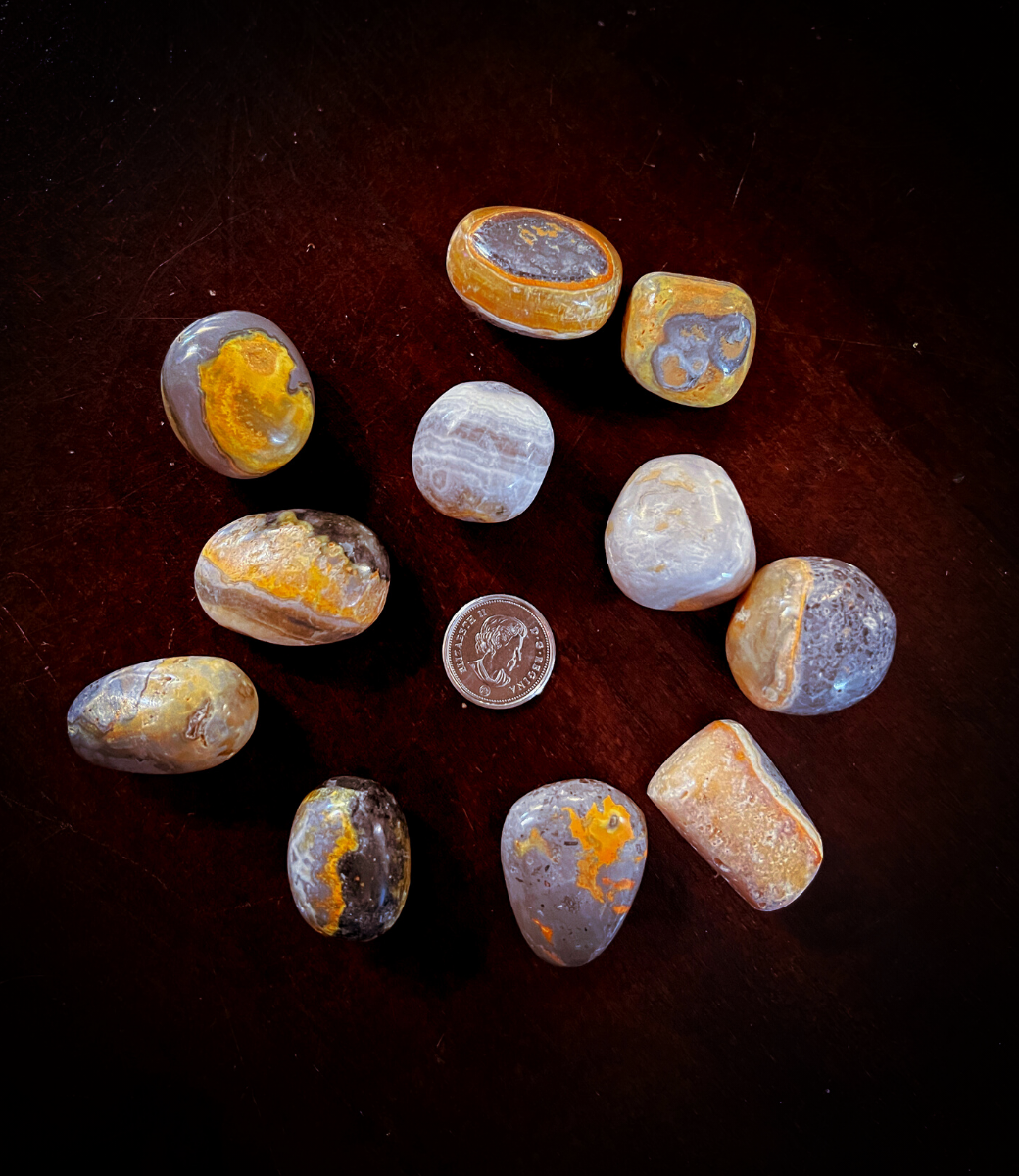Bumblebee Jasper - medium