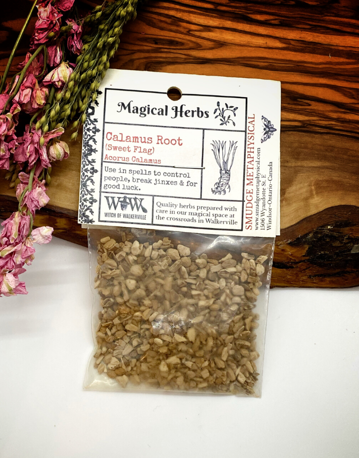 Calamus Root / Sweet Flag