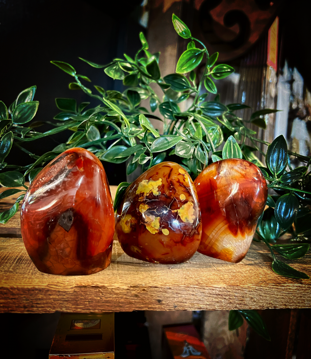 Carnelian Free Form - medium