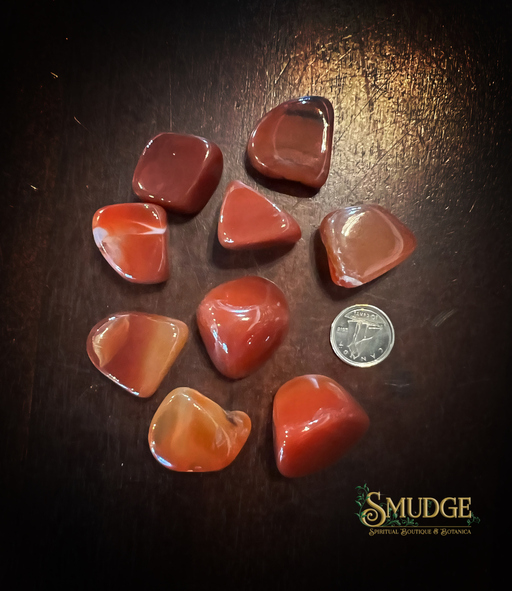 Carnelian Tumbled med-large