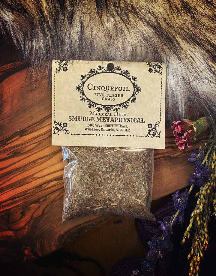 Cinquefoil - Five Finger Grass