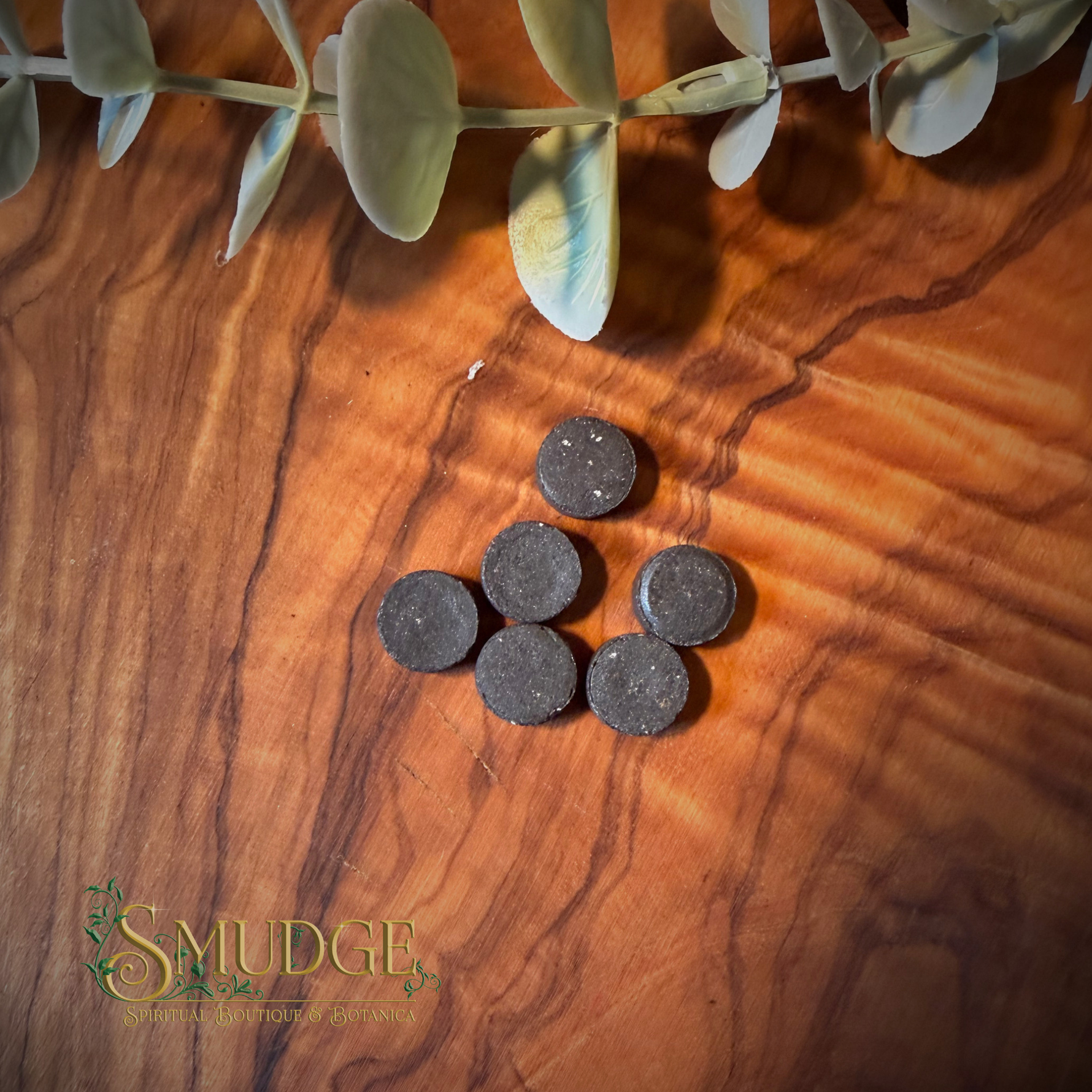 Five small round dark charcoal pads arranged on a warm brown wood surface, with a green leafy stem across the top edge and a visible Smudge logo watermark in the lower left.