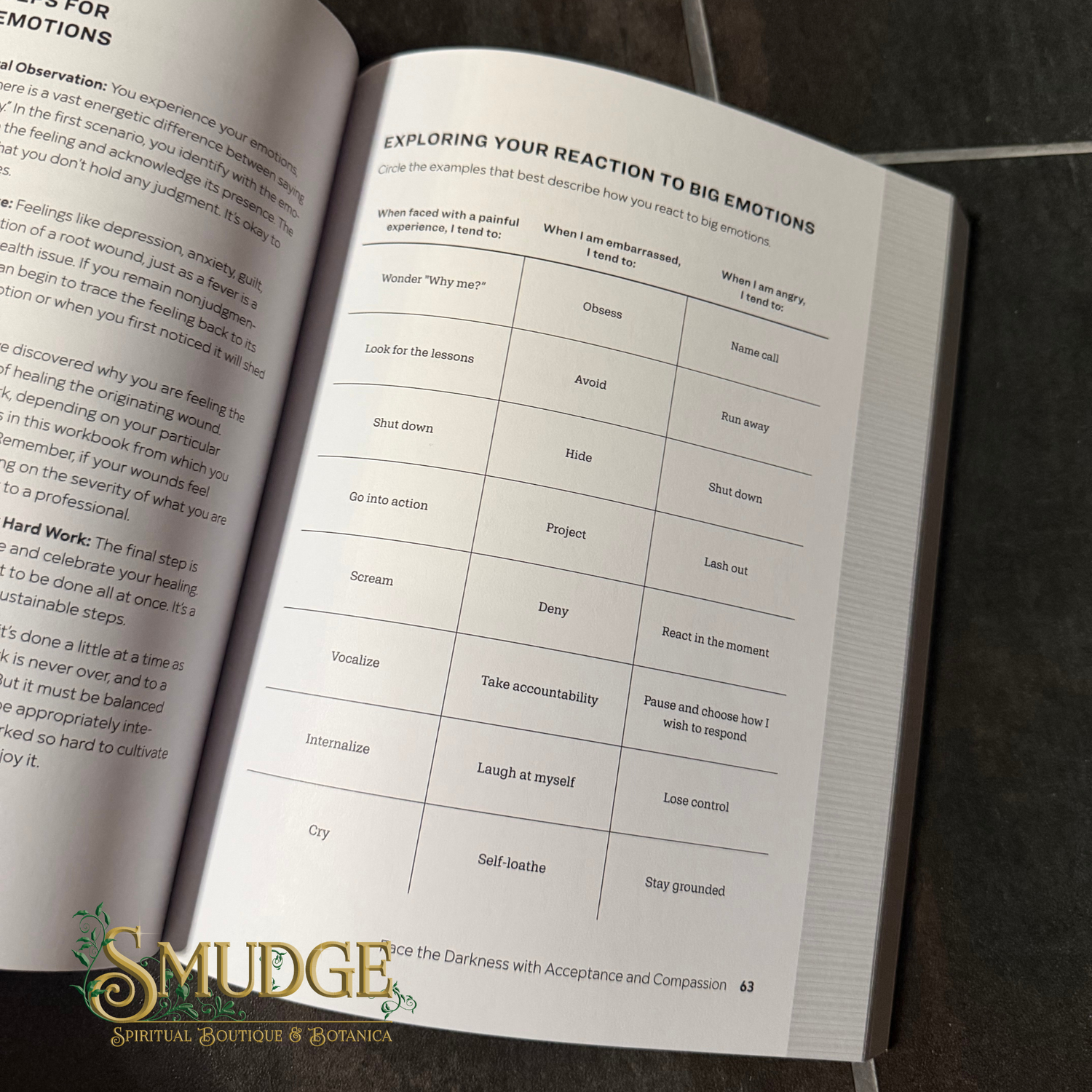 An open book showing a printed page titled 'Exploring Your Reaction to Big Emotions' with a table for coping responses, photographed on a dark surface. The page has a green 'SMUDGE' logo at the bottom.