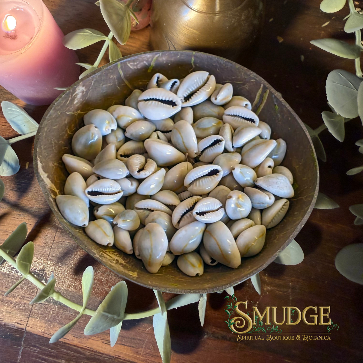 A bowl filled with white cowrie shells on a dark wooden surface, surrounded by green leaves, a pink candle, and a brass object. The Smudge Spiritual Boutique & Botanica logo is visible in the bottom right corner.
