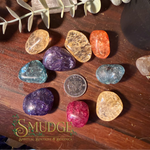 A group of polished tumbled gemstones in multiple colors arranged on a wooden surface, with a coin and eucalyptus leaves used for scale and styling. The stones include yellow, orange, blue, purple, pink, and clear varieties.