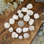 Desert rose selenite balls on a wooden table with a Canadian quarter in the middle.