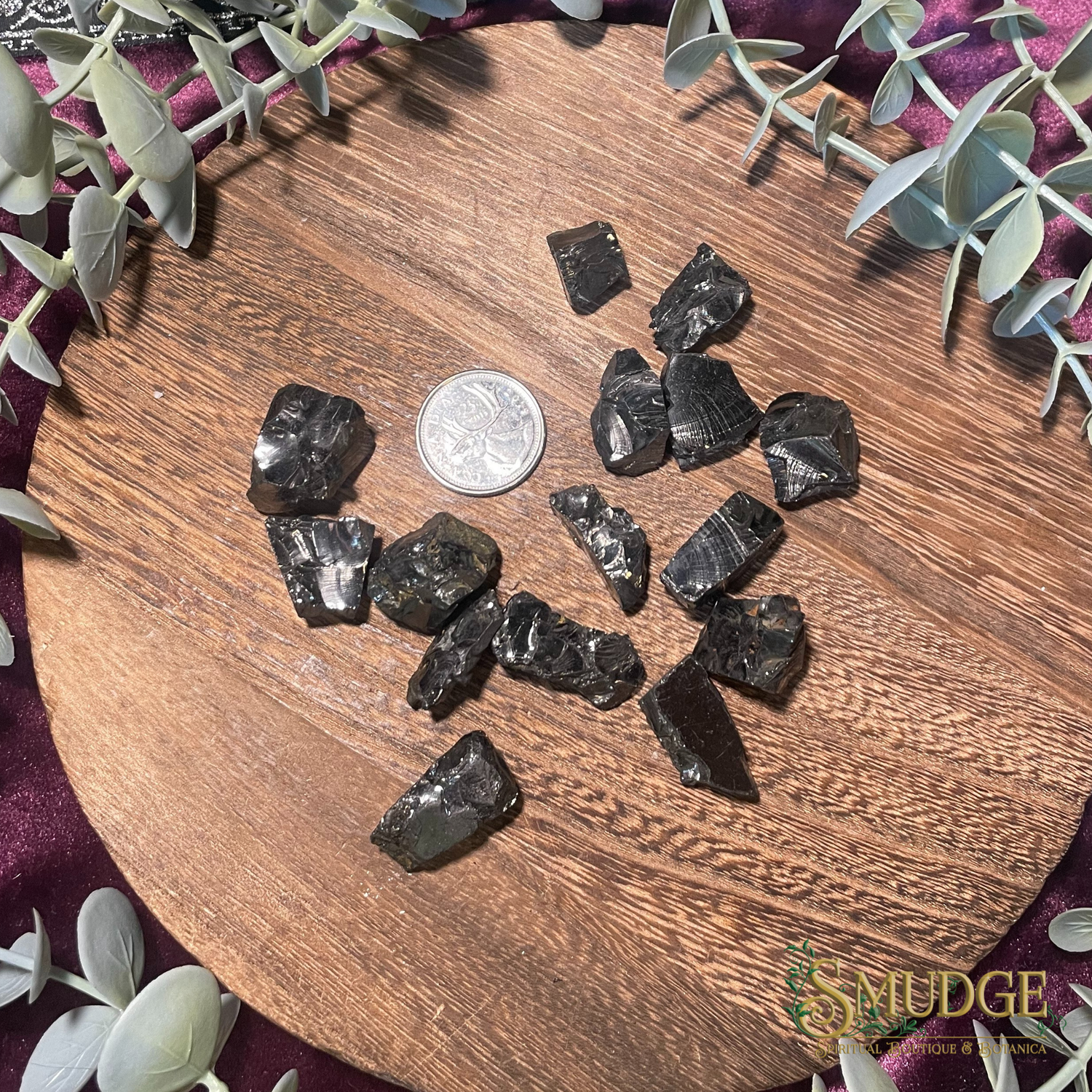 Elite Noble Shungite Rough Medium