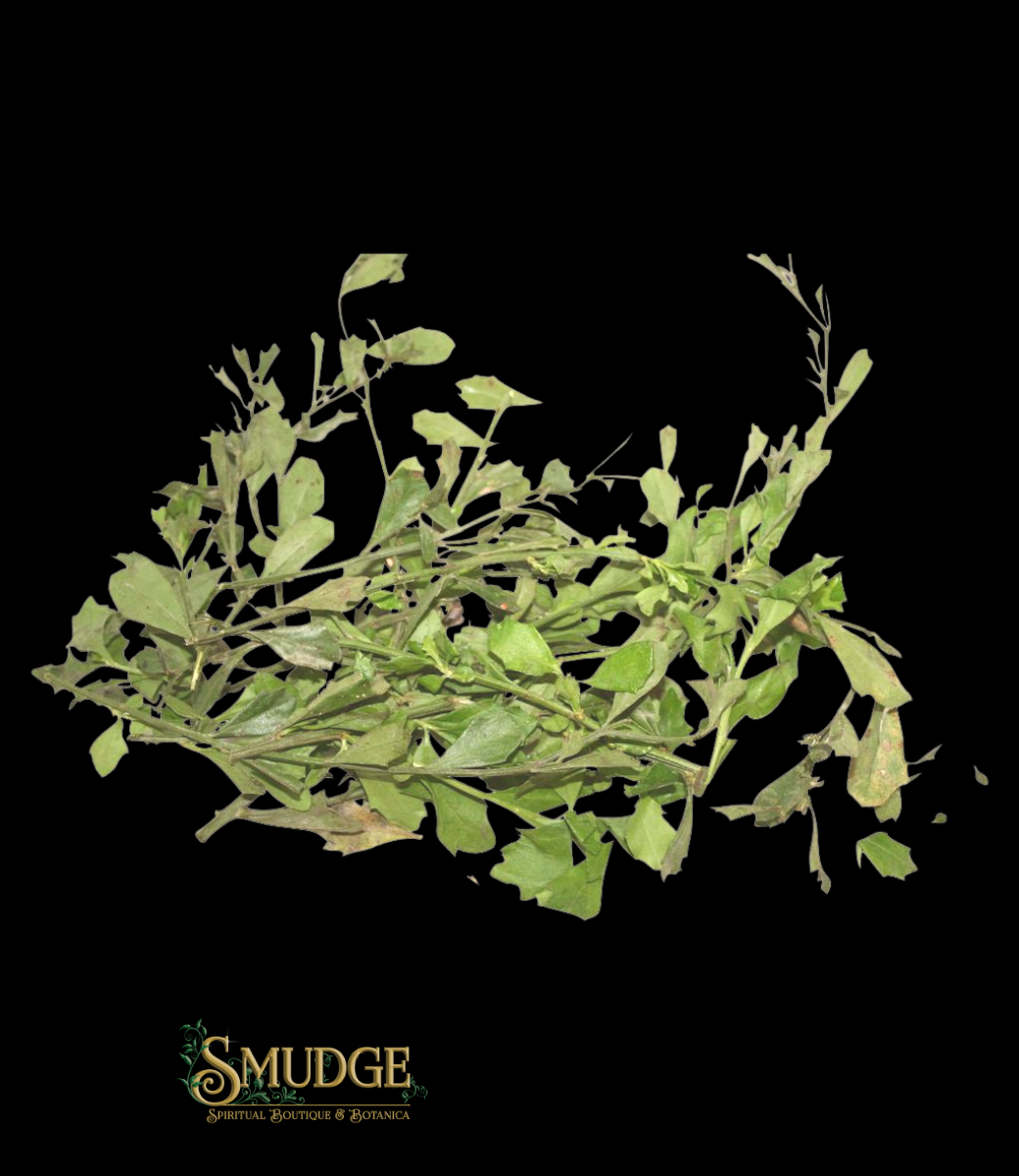 Espanta Muerto / Ghost Chaser Plant Bath