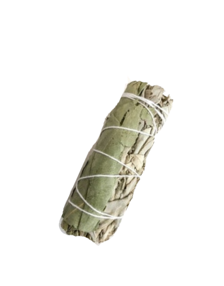 Eucalyptus & White Sage 5"