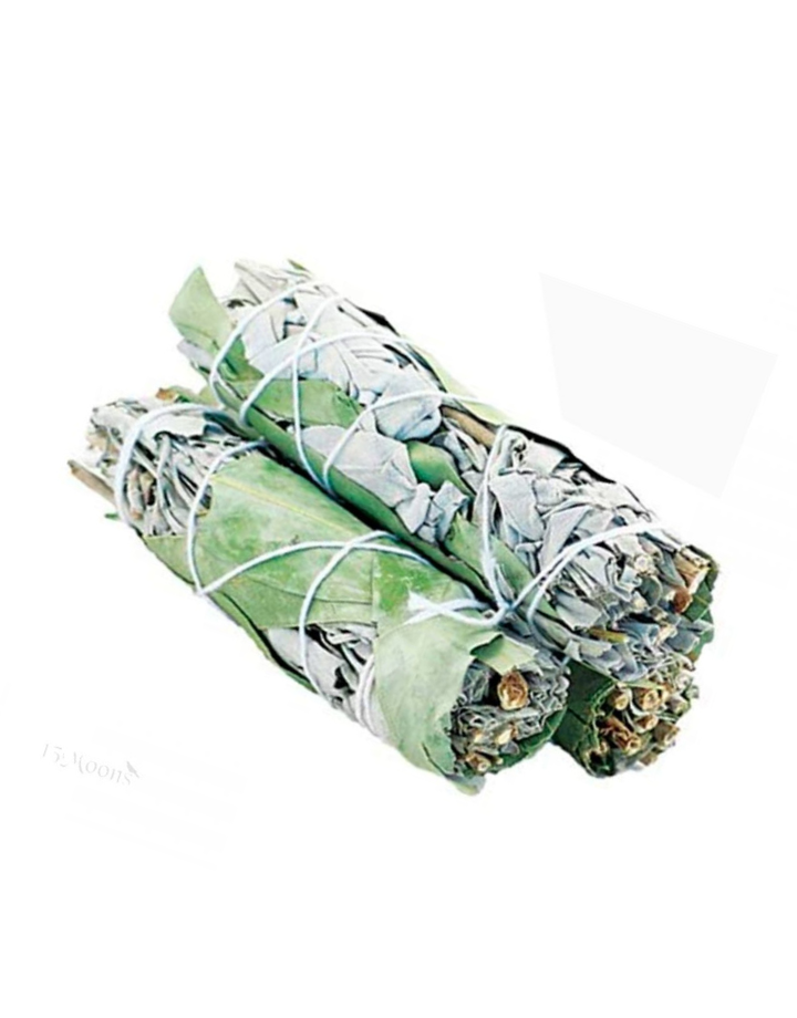 Eucalyptus & White Sage 5"