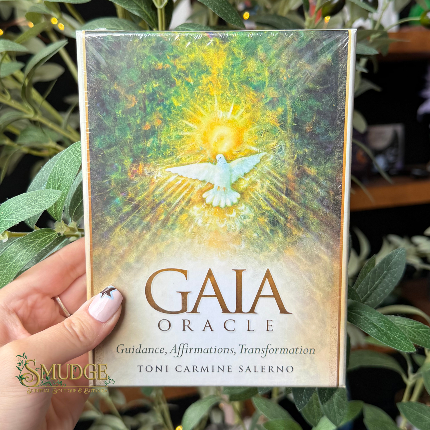 A hand holds a shrink-wrapped copy of the Gaia Oracle card deck by Toni Carmine Salerno, featuring a vibrant cover illustration of a white dove and golden light against a green and yellow background, set against a backdrop of green foliage.