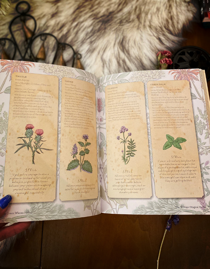 The Green Wiccan Herbal