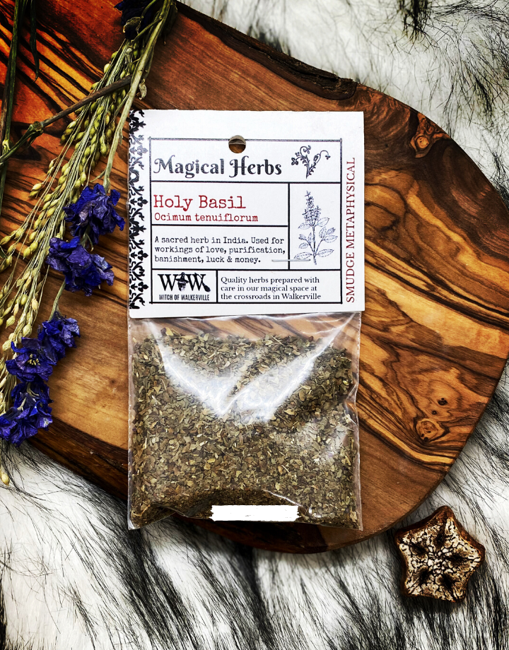 Holy Basil