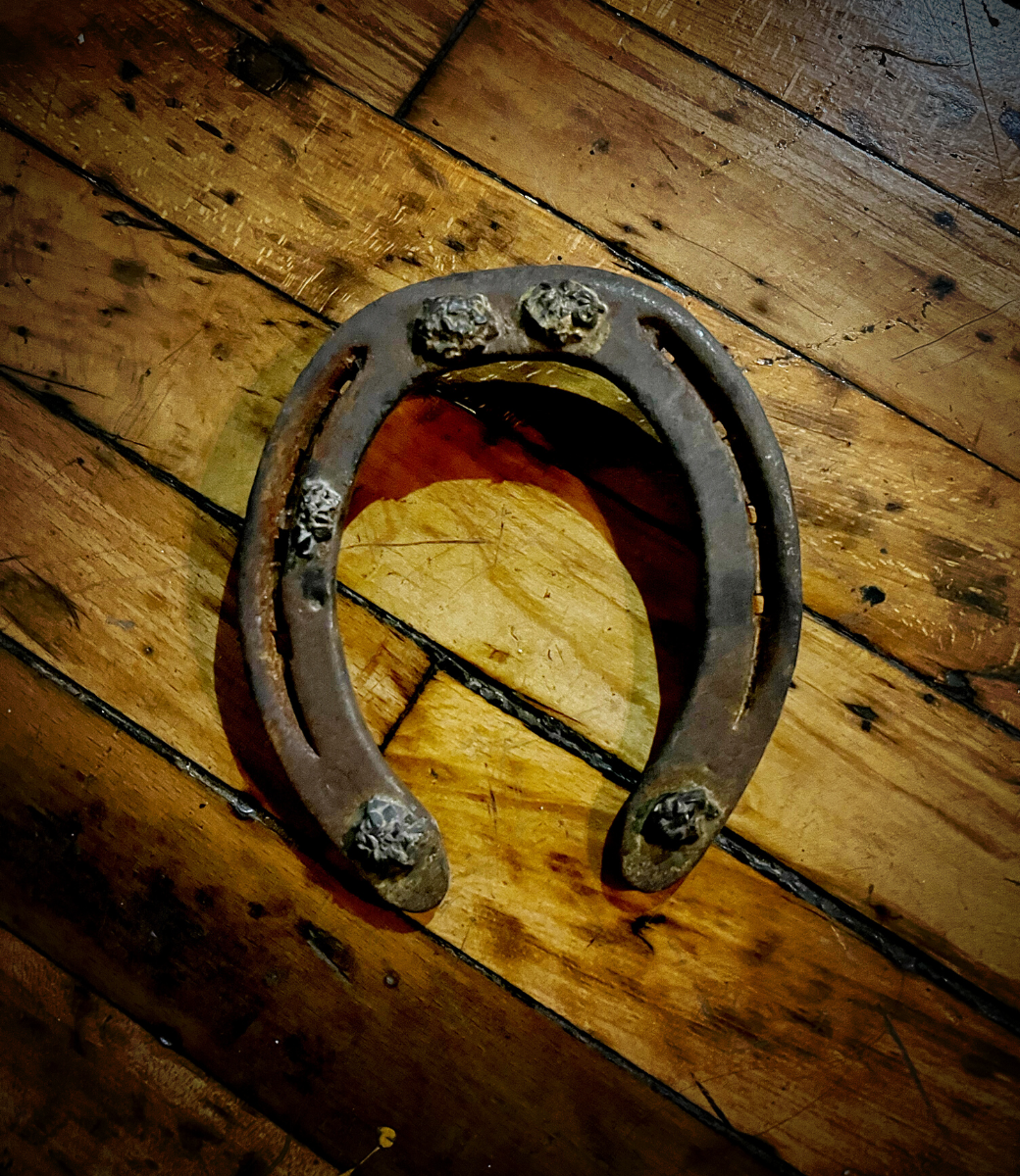 Lucky Horseshoe