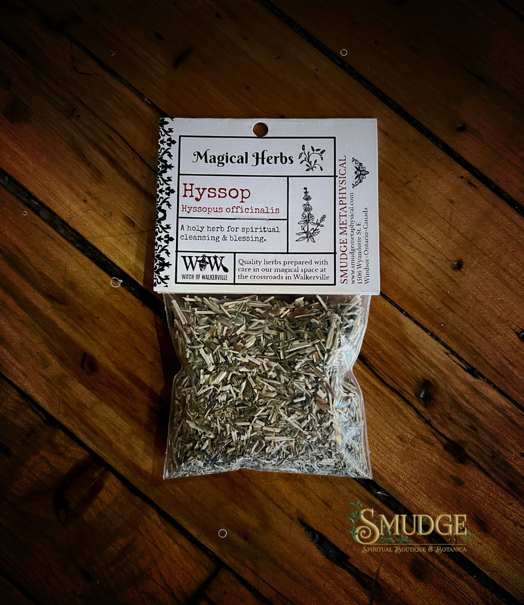 Hyssop