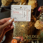 A hand holds a clear plastic bag of dried Hyssop herbs with a white paper label that reads 'Magical Herbs' and 'Hyssop'. The background is filled with dried flowers, candles, and other spiritual items, with a 'SMUDGE SPIRITUAL BOUTIQUE & BOTANICA' logo at the bottom right.