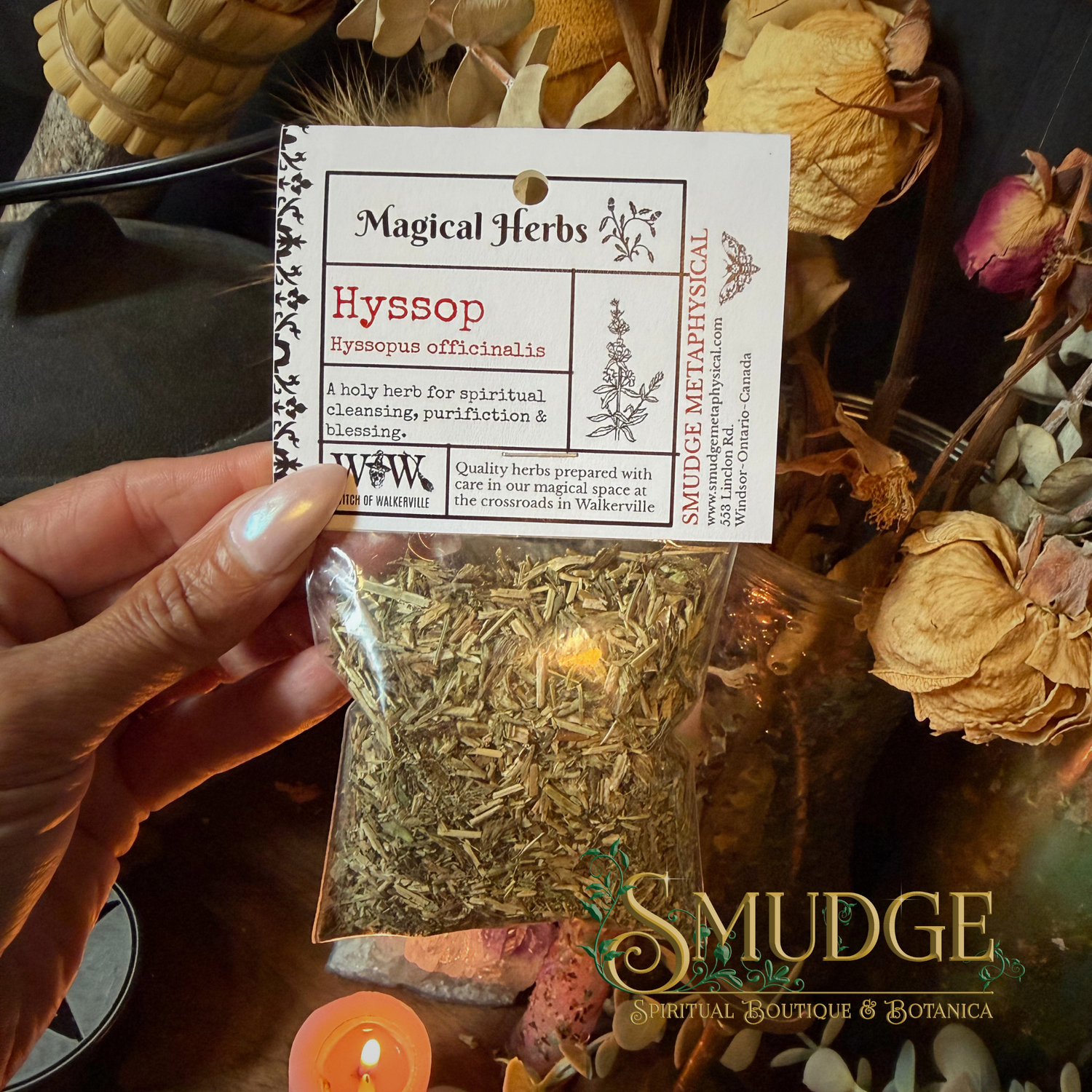 A hand holds a clear plastic bag of dried Hyssop herbs with a white paper label that reads 'Magical Herbs' and 'Hyssop'. The background is filled with dried flowers, candles, and other spiritual items, with a 'SMUDGE SPIRITUAL BOUTIQUE & BOTANICA' logo at the bottom right.