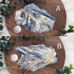Two crystal rock samples on wooden boards with a coin for scale, surrounded by greenery.