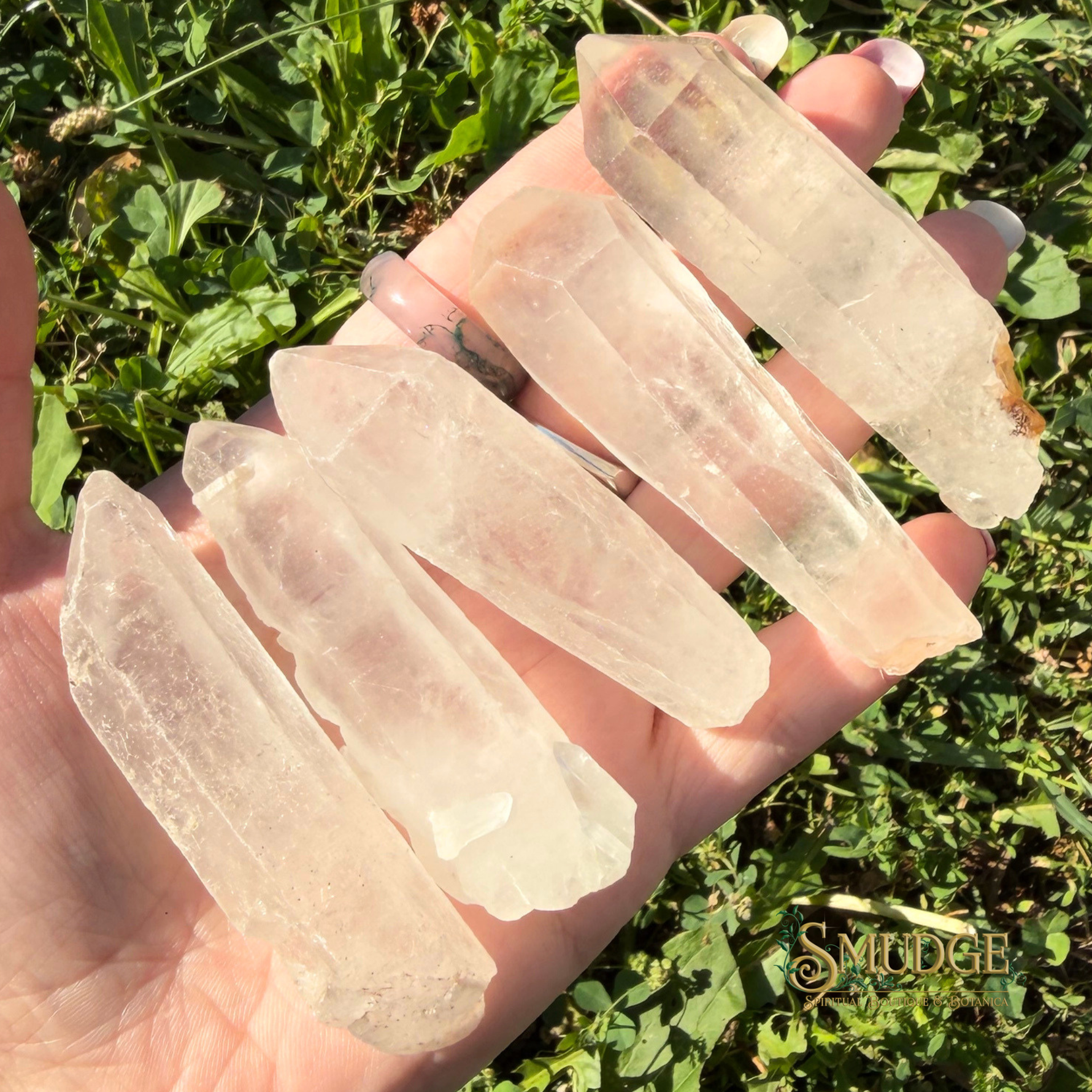 A hand holding five clear, translucent quartz crystal points outdoors against a background of green grass. A 'SMUDGE' brand logo is visible in the bottom right corner.