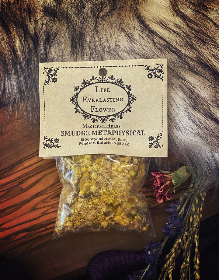 Life Everlasting Flowers