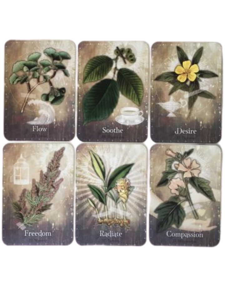 Magickal Herb Oracle