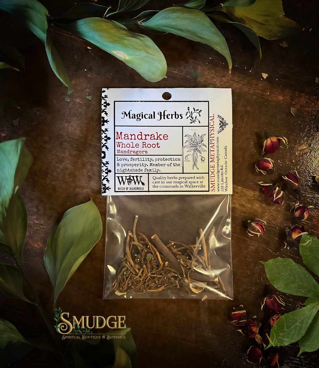 Mandrake Root whole
