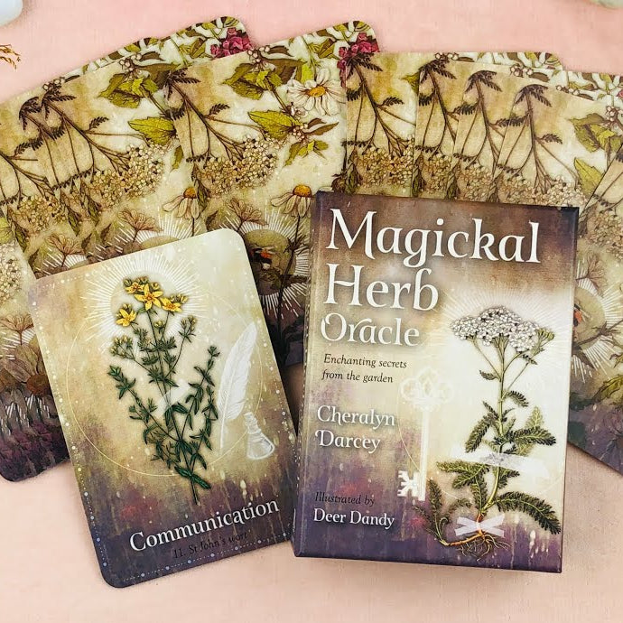A boxed card deck titled 'Magical Herb Oracle' with its box and two illustrated cards displayed on a soft pink surface, surrounded by botanical artwork and dried floral props.