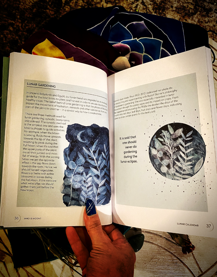 Moon Power: Conscious Guides