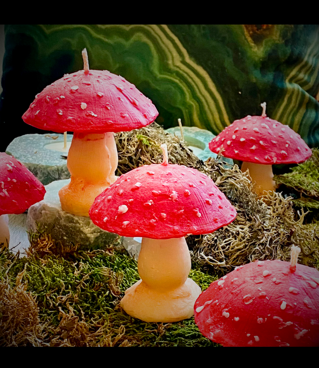 Mushroom Candle