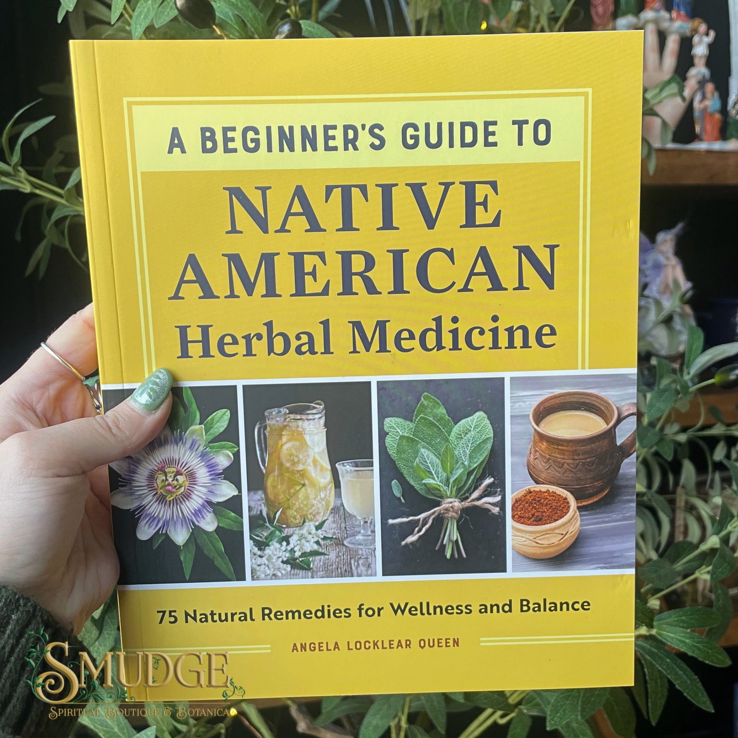 Book titled 'A Beginner's Guide to Native American Herbal Medicine' held by a hand with green nail polish, surrounded by plants.