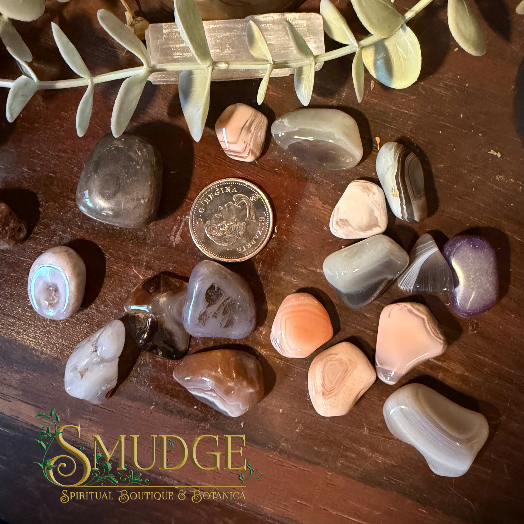 A group of polished tumbled crystals and stones in assorted colors and patterns, arranged on a dark wooden surface with a coin for scale and a eucalyptus sprig. The brand logo 'SMUDGE Spiritual Boutique & Therapica' is visible in the bottom-left corner.