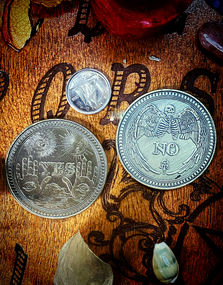 Yes/No Coin