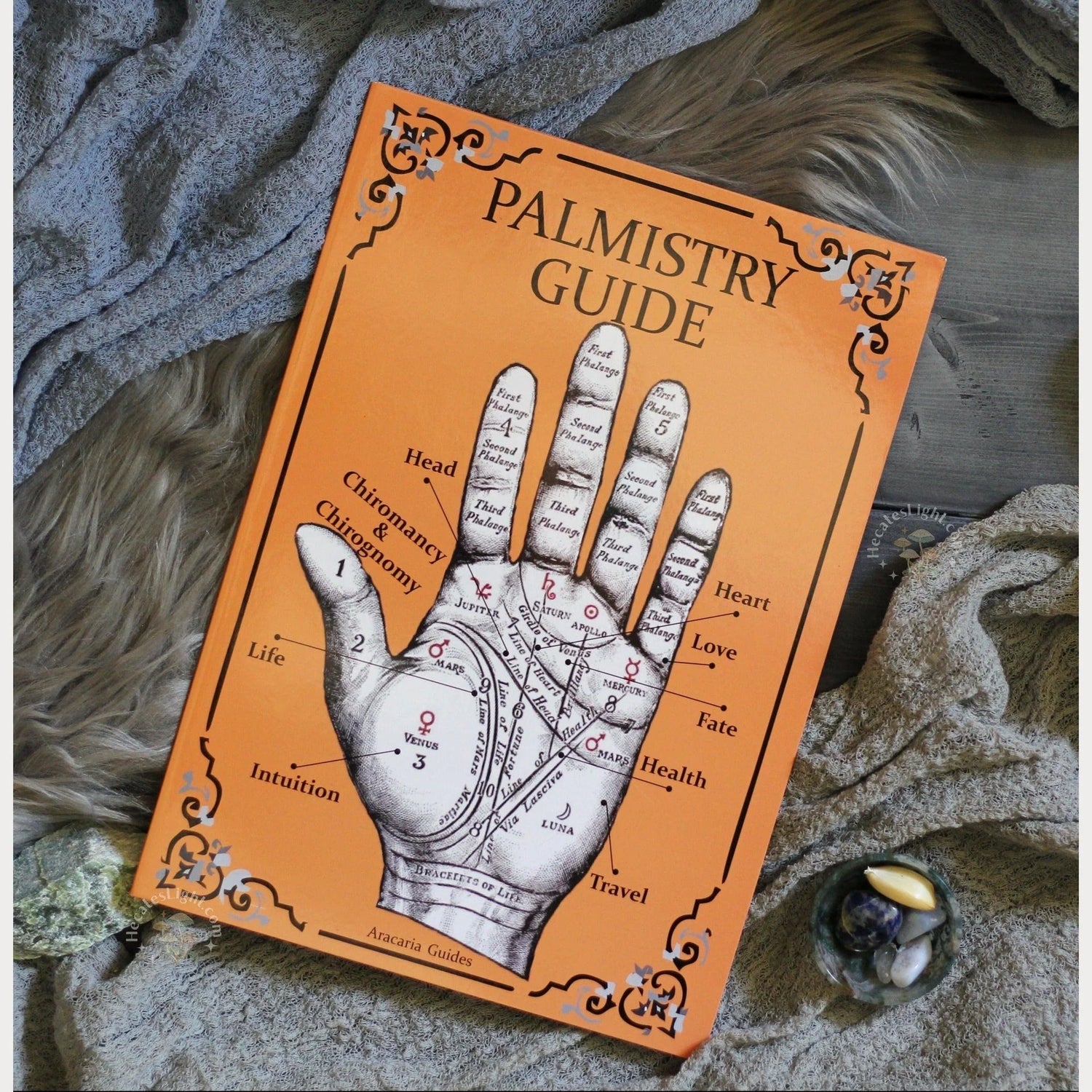Palmistry Guide Book