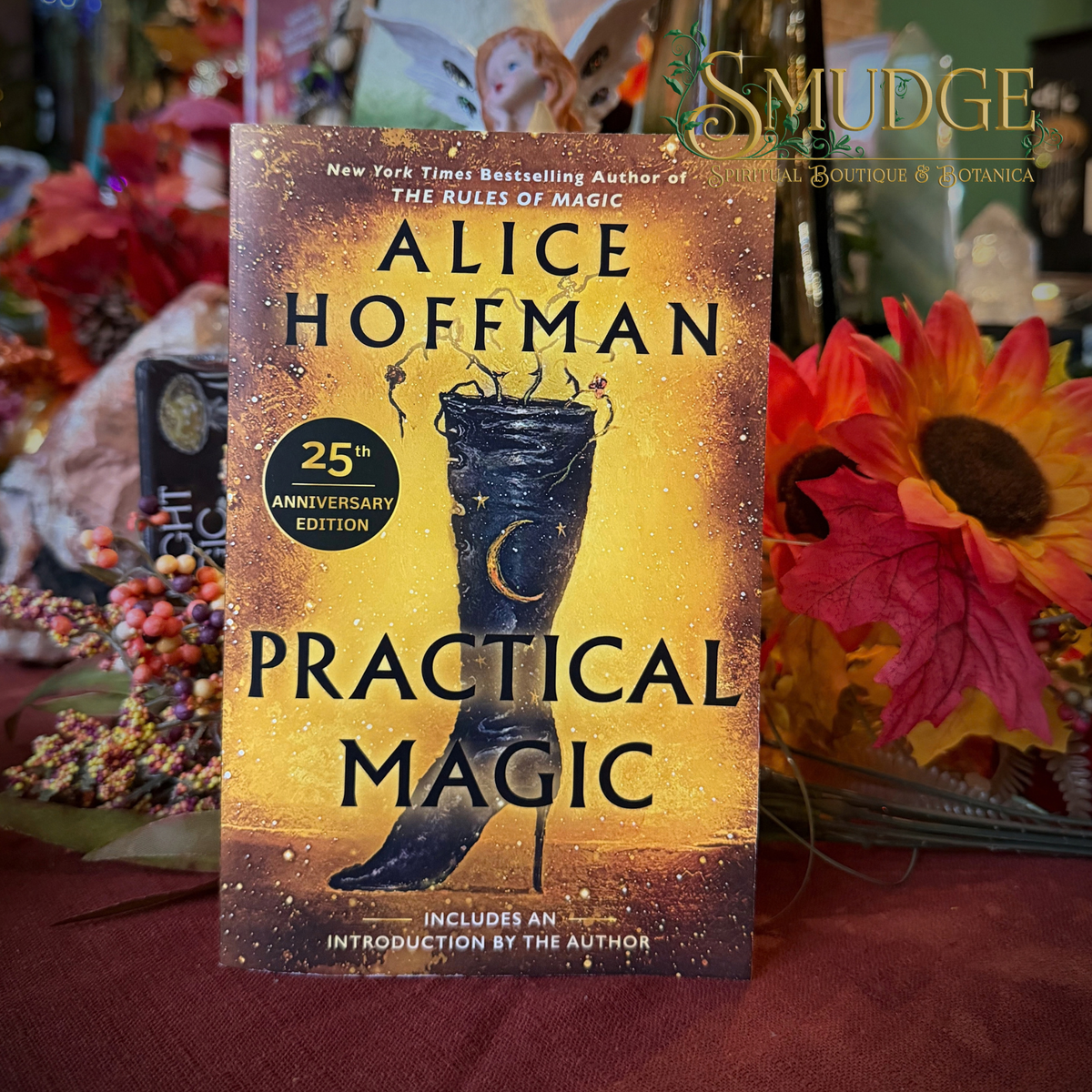 Practical magic : 25th Anniversary Edition