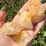 Four rough, unpolished yellow quartz crystal stones held in a person's hand outdoors on a grassy background. The stones have natural, jagged textures and a warm golden-yellow hue with some orange-brown mineral inclusions.