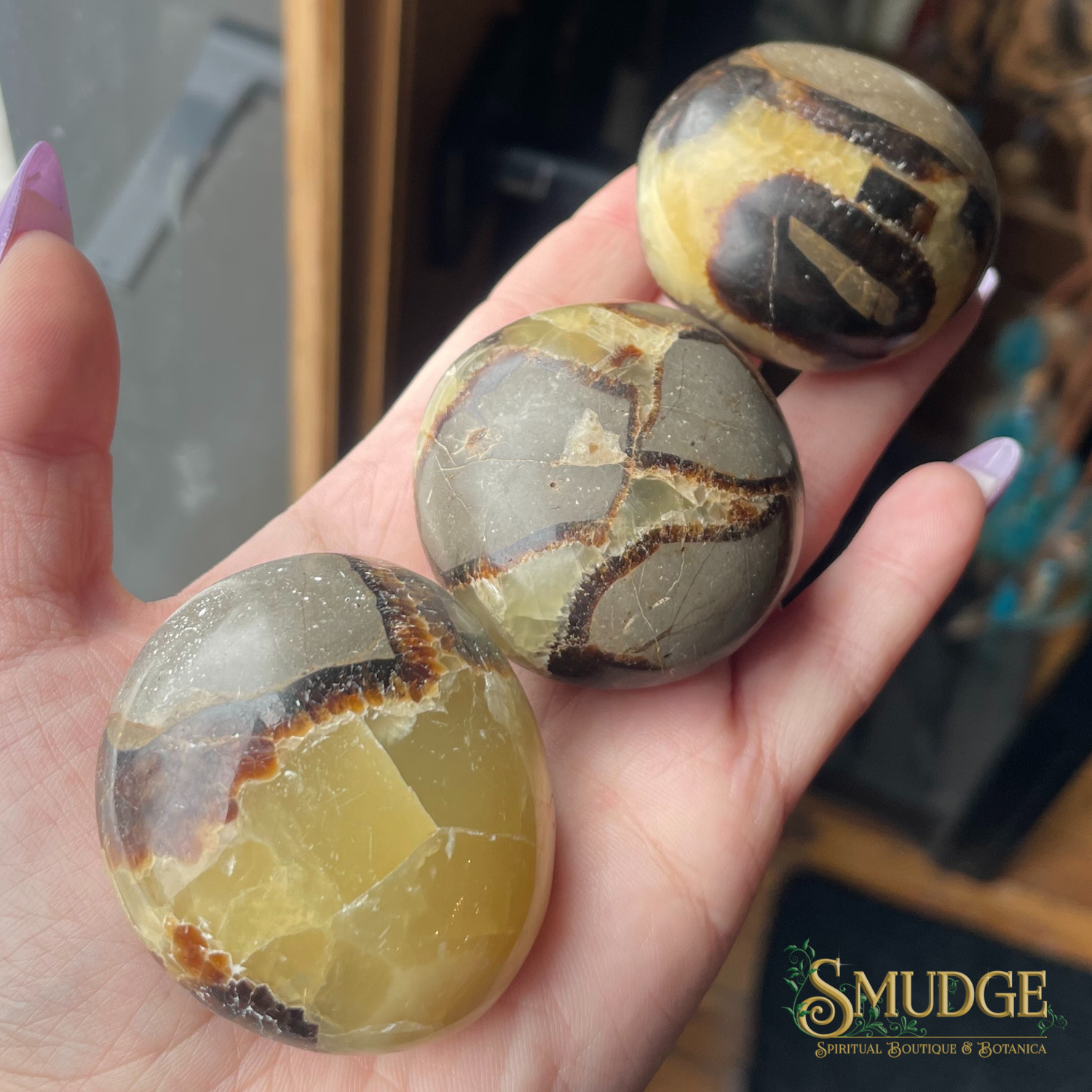 Septarian Palmstones