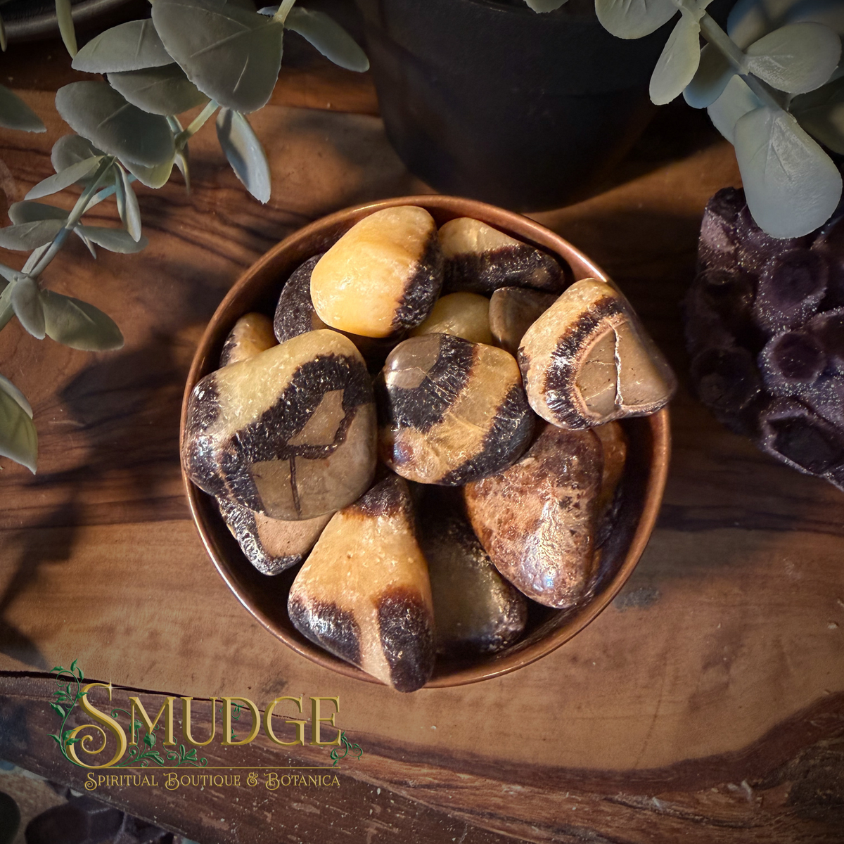 Septarian - tumbled medium