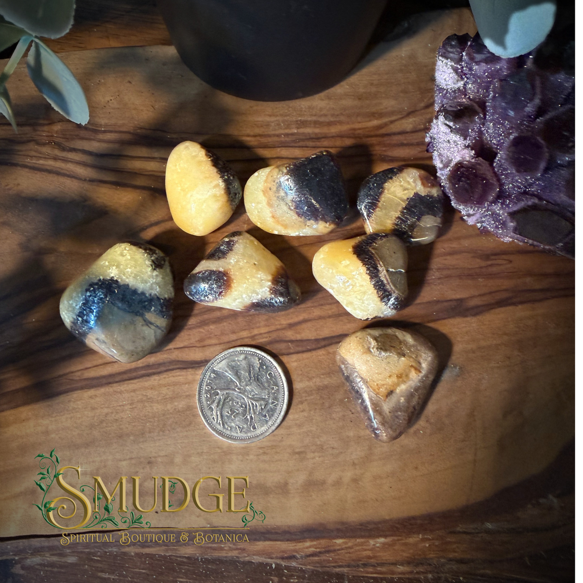 Septarian - tumbled medium