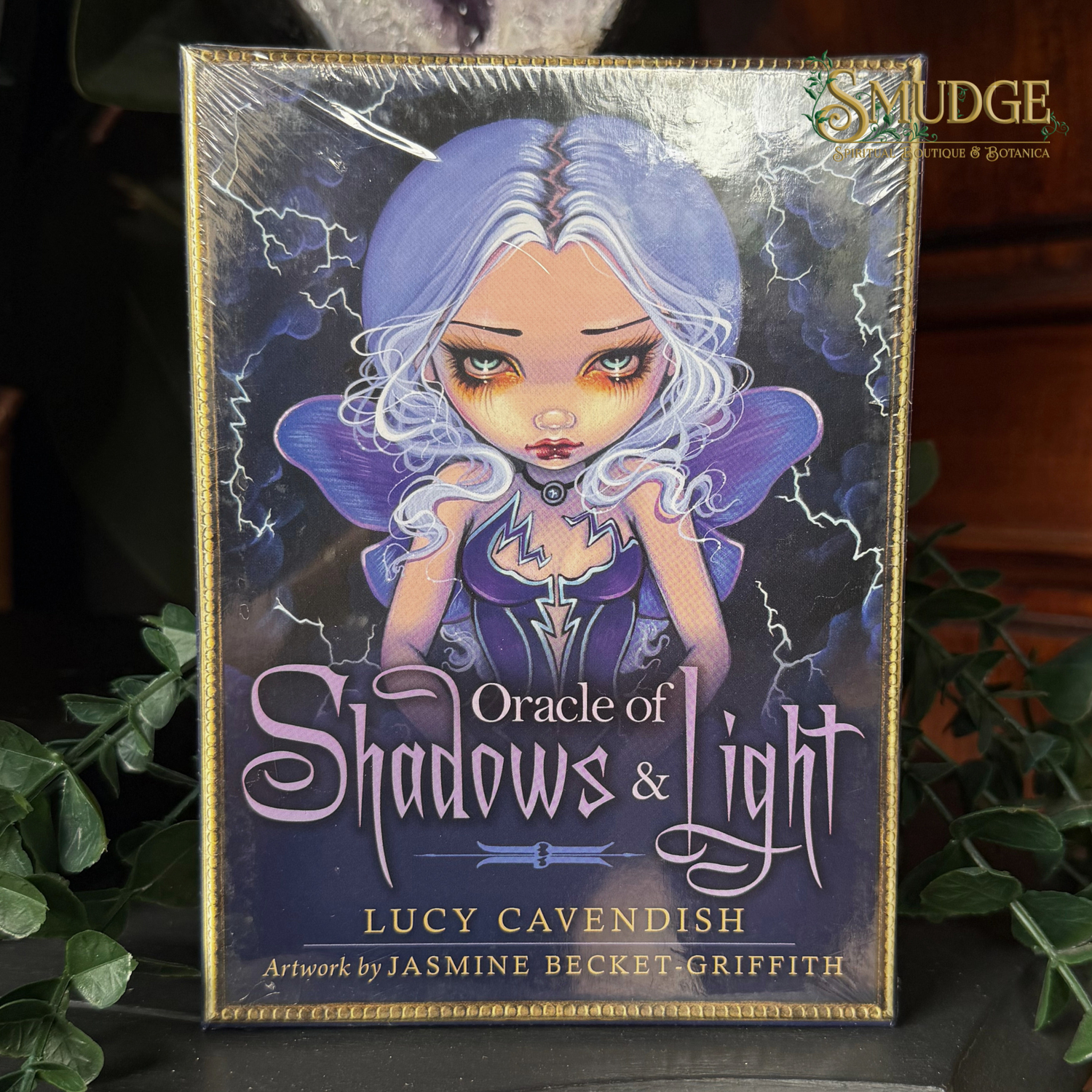 Oracle of Shadows & Light card deck box by Lucy Cavendish, featuring artwork by Jasmine Becket Griffith. The box is wrapped in protective plastic and displayed on a dark surface with green leaves in the background.