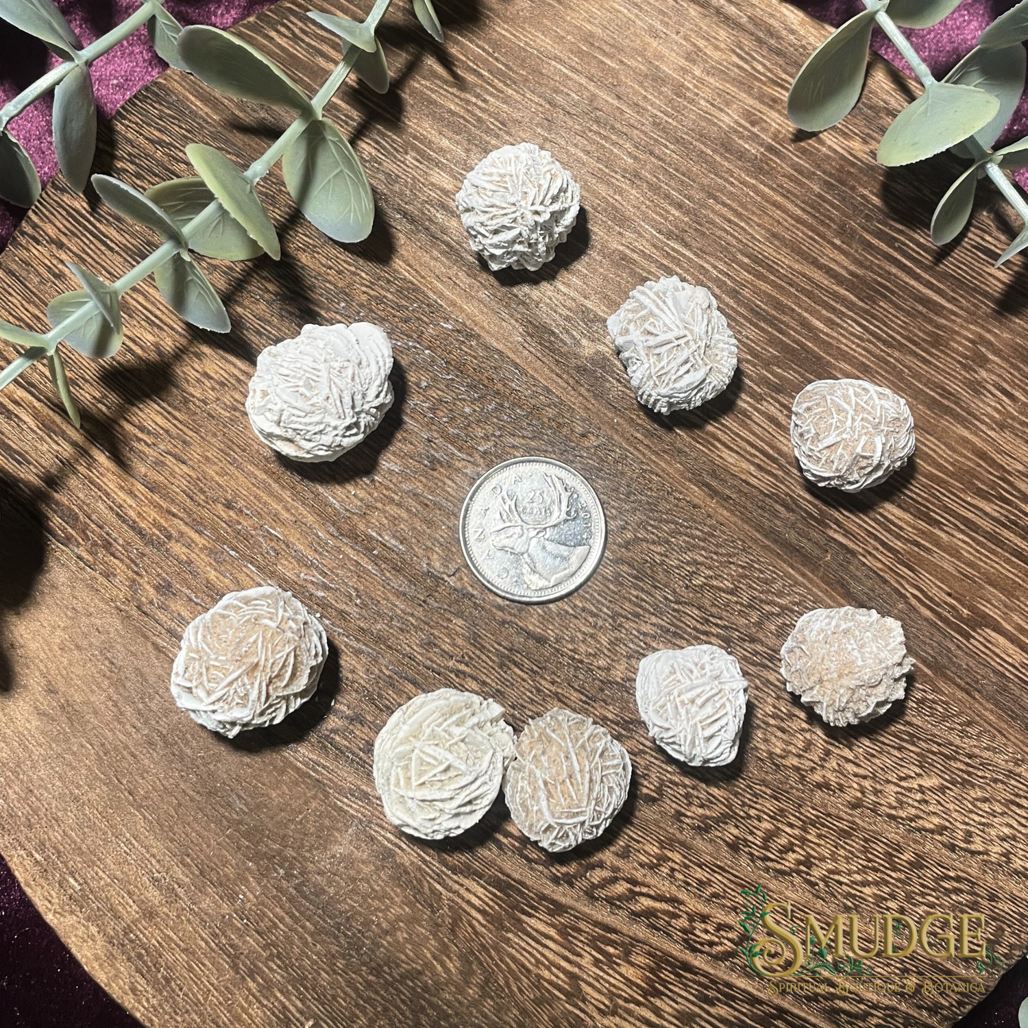 Desert Rose Selenite (small)