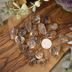 A group of polished tumbled smoky quartz stones arranged on a wooden surface, with a coin in the center for scale and decorative greenery around the edges. The brand name 'SNEDGE' is watermarked in the upper left.